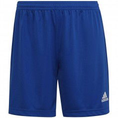 Shorts adidas Entrada 22 W HH9998