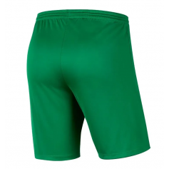 Nike Park III Knit Jr BV6865-302 shorts