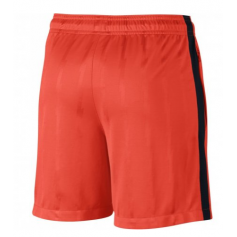 Nike Dry Squad Jacquard Junior 870121-852 σορτς ποδοσφαίρου