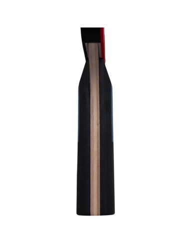 Ping pong bat Butterfly Ovtcharov Sapphire 85222