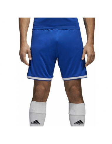 Regista 2024 18 shorts