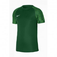Nike DriFit Academy SS M DH8031 302 Tshirt