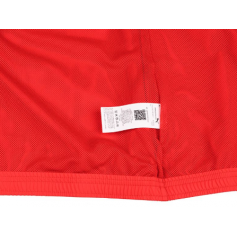 Puma teamRise All Weather Jacket M 657396 01