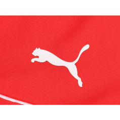 Puma teamRise All Weather Jacket M 657396 01