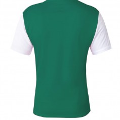 Nike Tiempo Premier II Αθλητικό Ανδρικό T-shirt Πράσινο Μονόχρωμο DH8035-302