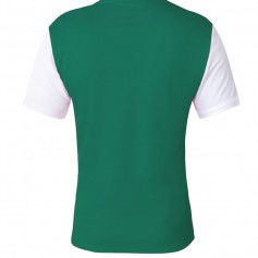 Nike Tiempo Premier II Αθλητικό Ανδρικό T-shirt Πράσινο Μονόχρωμο DH8035-302