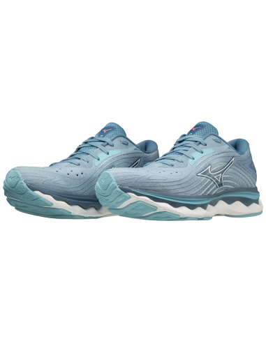 Mizuno Wave Sky 6 J1GD220228 Ανδρικά Αθλητικά Παπούτσια Running Μπλε