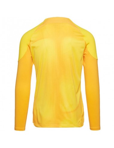 Nike Gardien IV DH7967-719 Ανδρική Φανέλα Τερματοφύλακα Ποδοσφαίρου