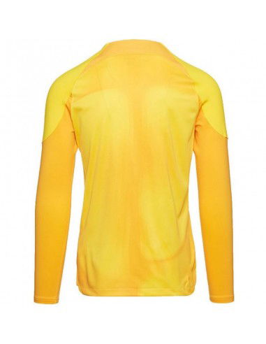 Nike Gardien IV Goalkeeper JSY M DH7967 719 goalkeepΑer shirt