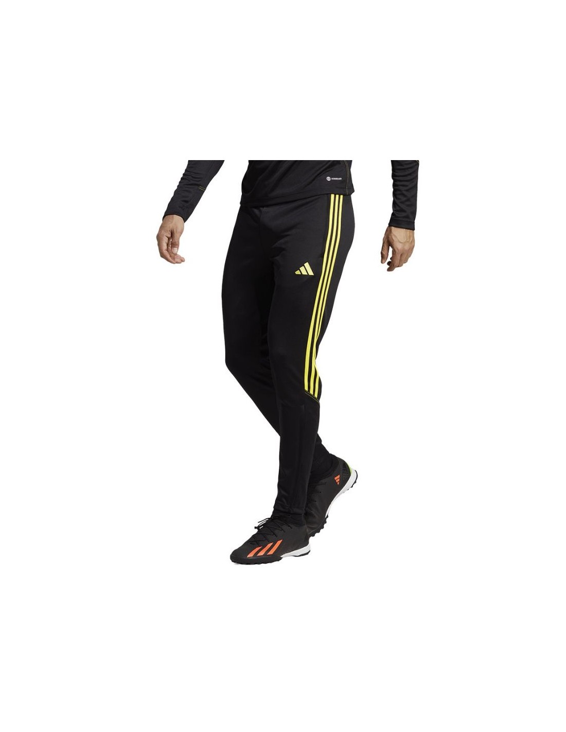 Pants adidas Tiro 23 Training Pant M IC1585