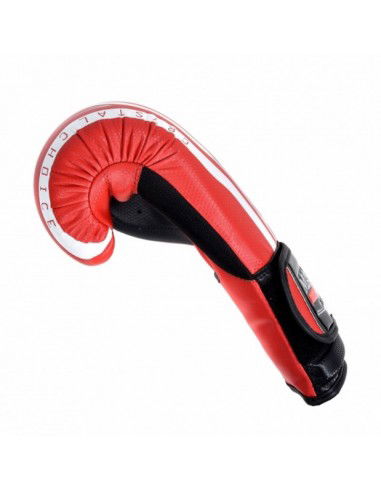 Boxing gloves RPUCRYSTAL 015620210