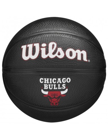 Wilson Team Tribute Chicago Bulls Mini Ball WZ4017602XB