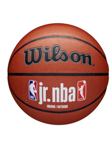 Wilson Jr NBA Fam Logo Μπάλα Μπάσκετ Indoor/Outdoor WZ2009801XB