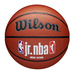 Wilson Jr NBA Fam Logo InOut Ball WZ2009801XB