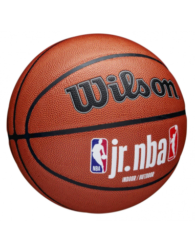 Wilson Jr NBA Fam Logo InOut Ball WZ2009801XB