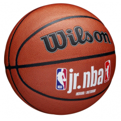 Wilson Jr NBA Fam Logo InOut Ball WZ2009801XB