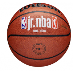 Wilson Jr NBA Fam Logo InOut Ball WZ2009801XB