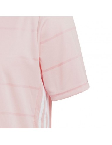 adidas campeon pink