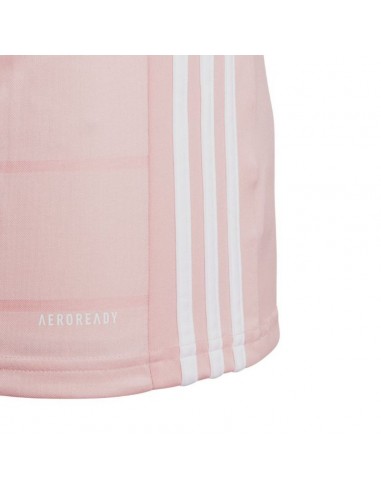 adidas campeon pink