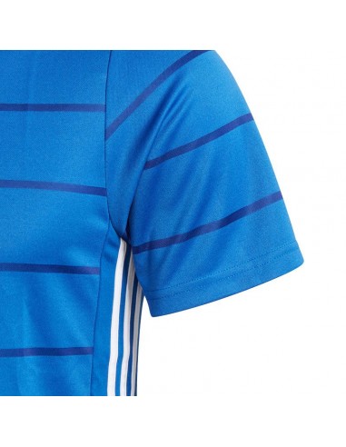 Adidas Campeon 21 Ανδρικό T-shirt Μπλε με Ρίγες FT6762