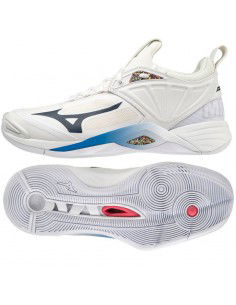 Mizuno Wave Momentum 2 M V1GA211300 volleyball shoes