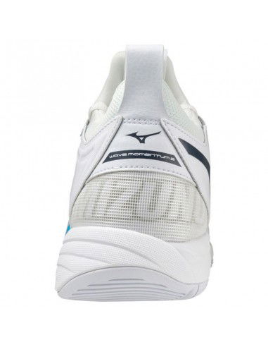 Mizuno Wave Momentum 2 M V1GA211300 volleyball shoes