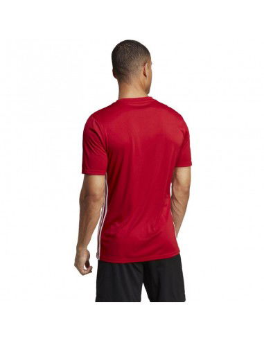 Tshirt adidas Table 23 Jersey M HT6552