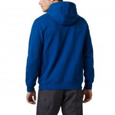 Helly Hansen Logo Hoodie 33977606