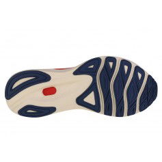 Mizuno Wave Skyrise 4 J1GD230923 Γυναικεία Αθλητικά Παπούτσια Running Ροζ