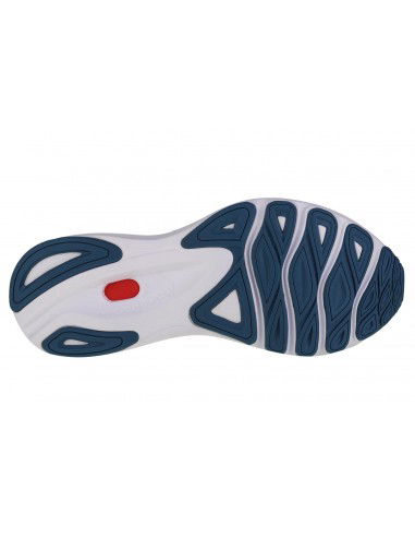 Mizuno Wave Skyrise 4 J1GC230901 Ανδρικά Αθλητικά Παπούτσια Running Μπλε