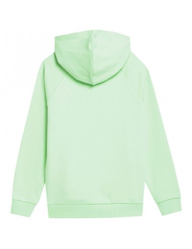 4F Παιδικό Φούτερ με Κουκούλα και Τσέπες Πράσινο 4FJSS23TSWSM220-42S
