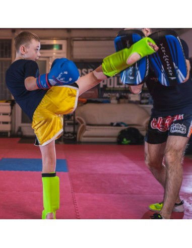 Yakima Sport Pao Coach Shield 100351