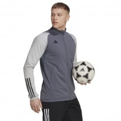 Adidas Tiro 23 Competition Ανδρική Ζακέτα με Φερμουάρ Γκρι HP1908