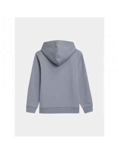 4F Jr Sweatshirt 4FJSS23TSWSM21934S