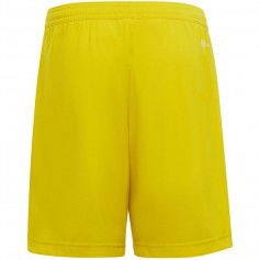 Shorts adidas Entrada 22 Jr IC7411