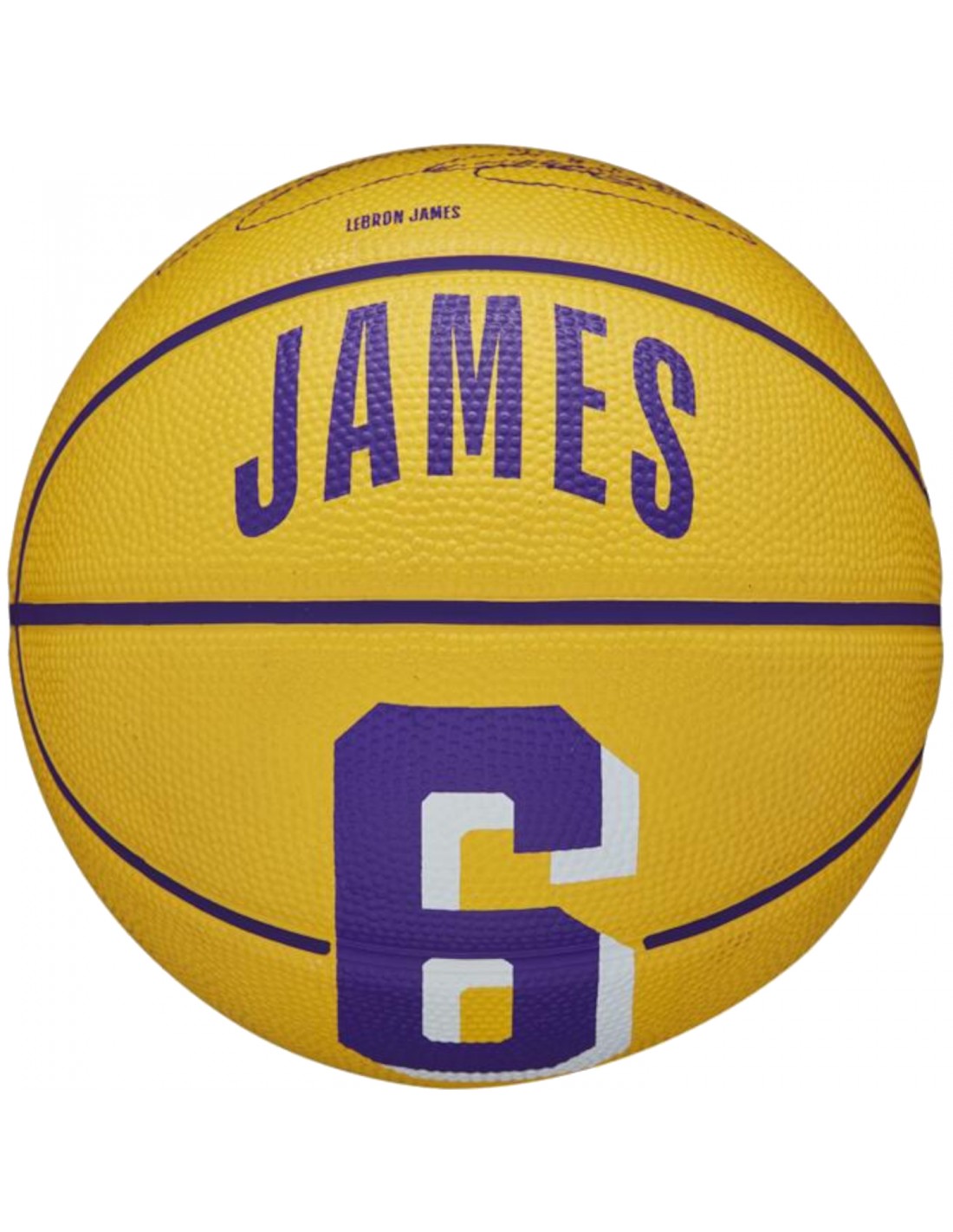 Wilson Player Icon Mini Μπάλα Μπάσκετ Indoor/Outdoor WZ4007401XB Stephen Curry