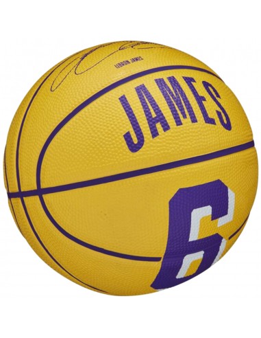 Wilson Player Icon Mini Μπάλα Μπάσκετ Indoor/Outdoor WZ4007401XB Stephen Curry