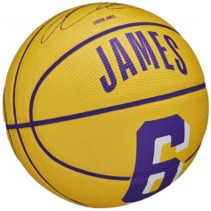 Wilson Player Icon Mini Μπάλα Μπάσκετ Indoor/Outdoor WZ4007401XB Stephen Curry