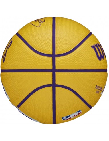 Wilson Player Icon Mini Μπάλα Μπάσκετ Indoor/Outdoor WZ4007401XB Stephen Curry