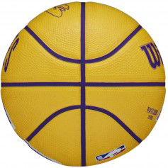 Wilson NBA Player Icon Stephen Curry Mini Ball WZ4007401XB