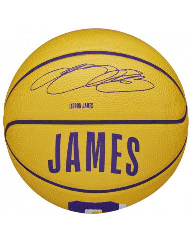 Wilson NBA Player Icon Stephen Curry Mini Ball WZ4007401XB