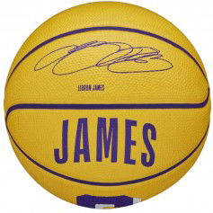 Wilson NBA Player Icon Stephen Curry Mini Ball WZ4007401XB