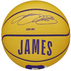 Wilson Player Icon Mini Μπάλα Μπάσκετ Indoor/Outdoor WZ4007401XB Stephen Curry