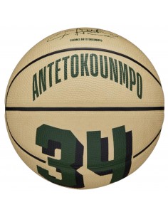 Wilson Player Icon Mini Μπάλα Μπάσκετ Indoor/Outdoor WZ4007501XB Giannis Antetokounmpo