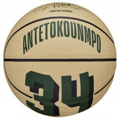 Wilson Player Icon Mini Μπάλα Μπάσκετ Indoor/Outdoor WZ4007501XB Giannis Antetokounmpo
