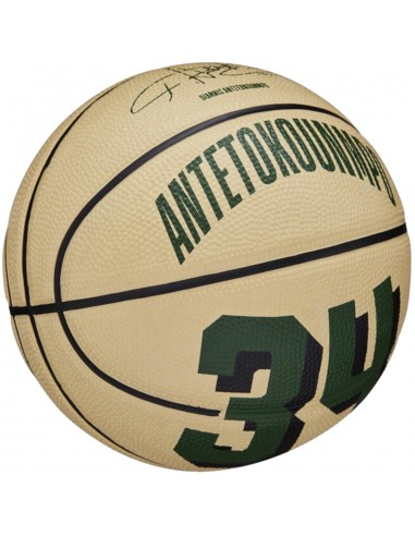 Mini Canasta Wilson NBA Logo