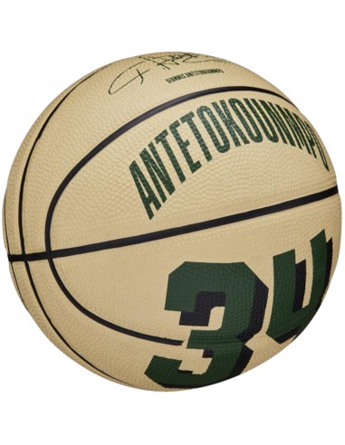 Wilson Player Icon Mini Μπάλα Μπάσκετ Indoor/Outdoor WZ4007501XB Giannis Antetokounmpo