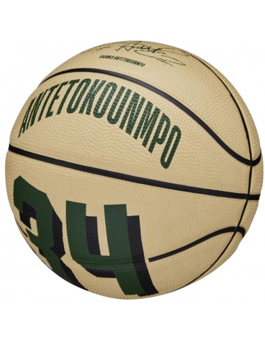 Wilson Player Icon Mini Μπάλα Μπάσκετ Indoor/Outdoor WZ4007501XB Giannis Antetokounmpo