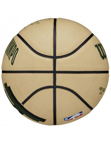 Wilson NBA Player Icon Giannis Antetokounmpo Mini Ball WZ4007501XB