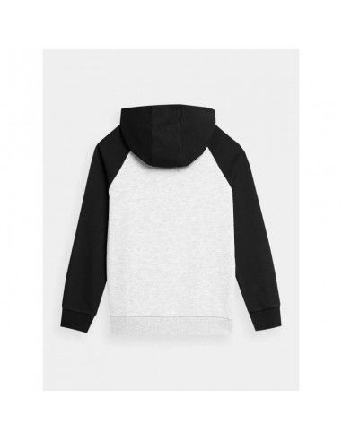 Sweatshirt 4F Jr 4FJSS23TSWSM22127M
